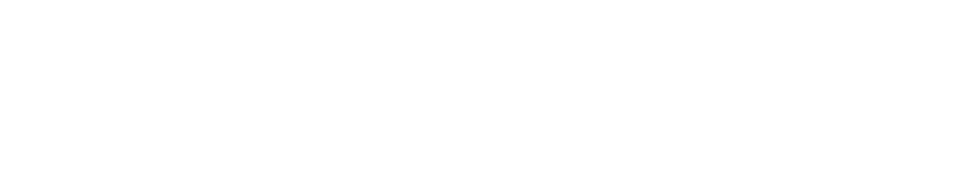JonesZylon Logo